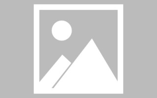 安陆网页设计英文默认字体（网页设置英文转换中文）